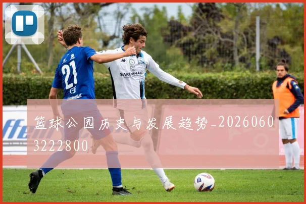 篮球公园历史与发展趋势_20260603222800